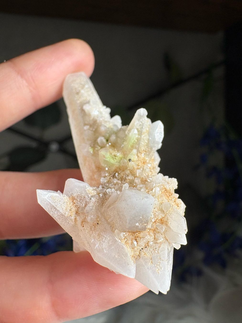 Minerali & Pietre curative: Kolumbianischer Lemurian-Quarz-Cluster – Nuovo (secondo la descrizione) da Neuheim venduto da m.hald 1