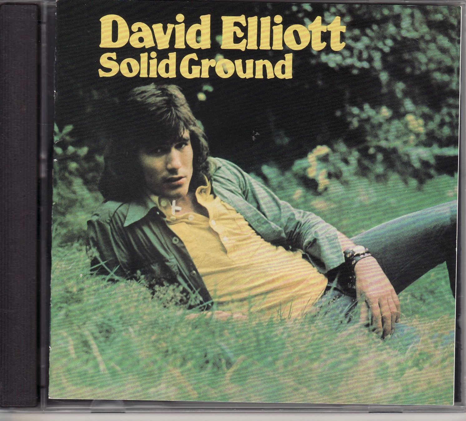 CDs: David Elliott Solid Ground – Neu (gemäss Beschreibung) aus Boussens von catfood01