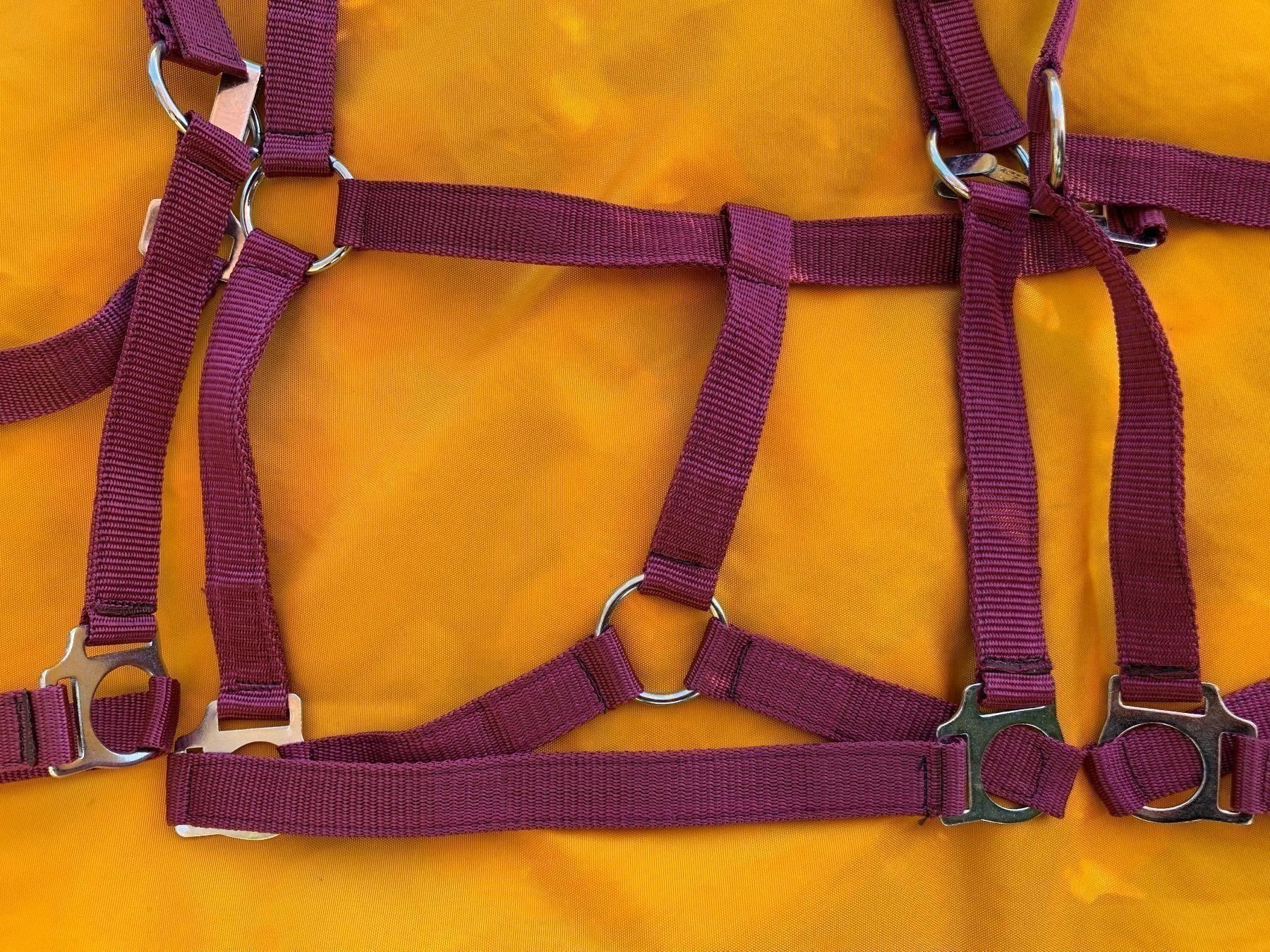 Briglie & Cavezze: 10 schöne Nylonhalftern – Usato da Feldbach venduto da Fea1 4