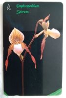 Telefonkarte Singapur. Orchidee 50$