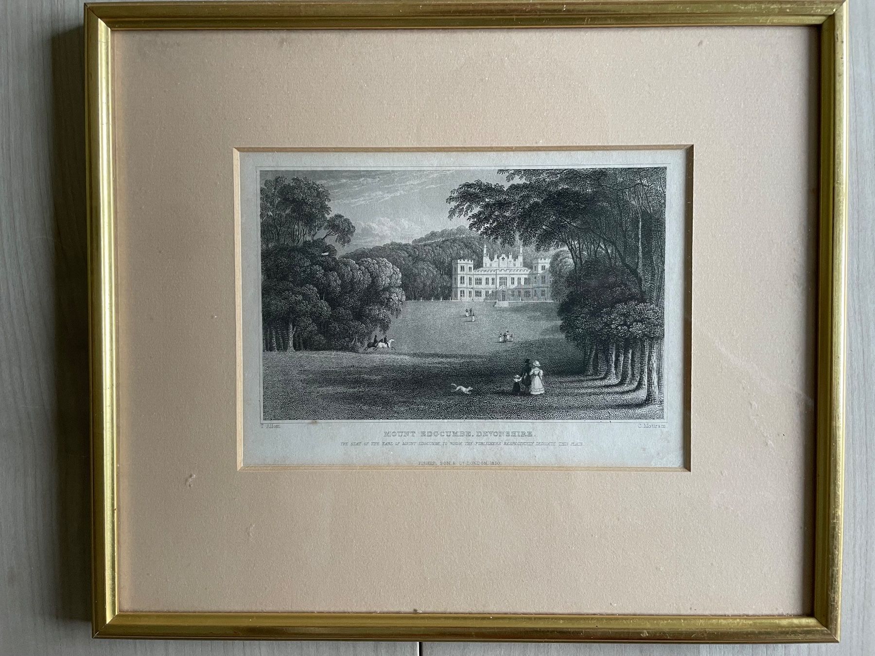 Incisioni: Stich England, Mount Edgcomb, Devonshire, 1810 – Usato da Winterthur venduto da Myrtillus