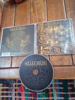 melechesh- the epigenesis