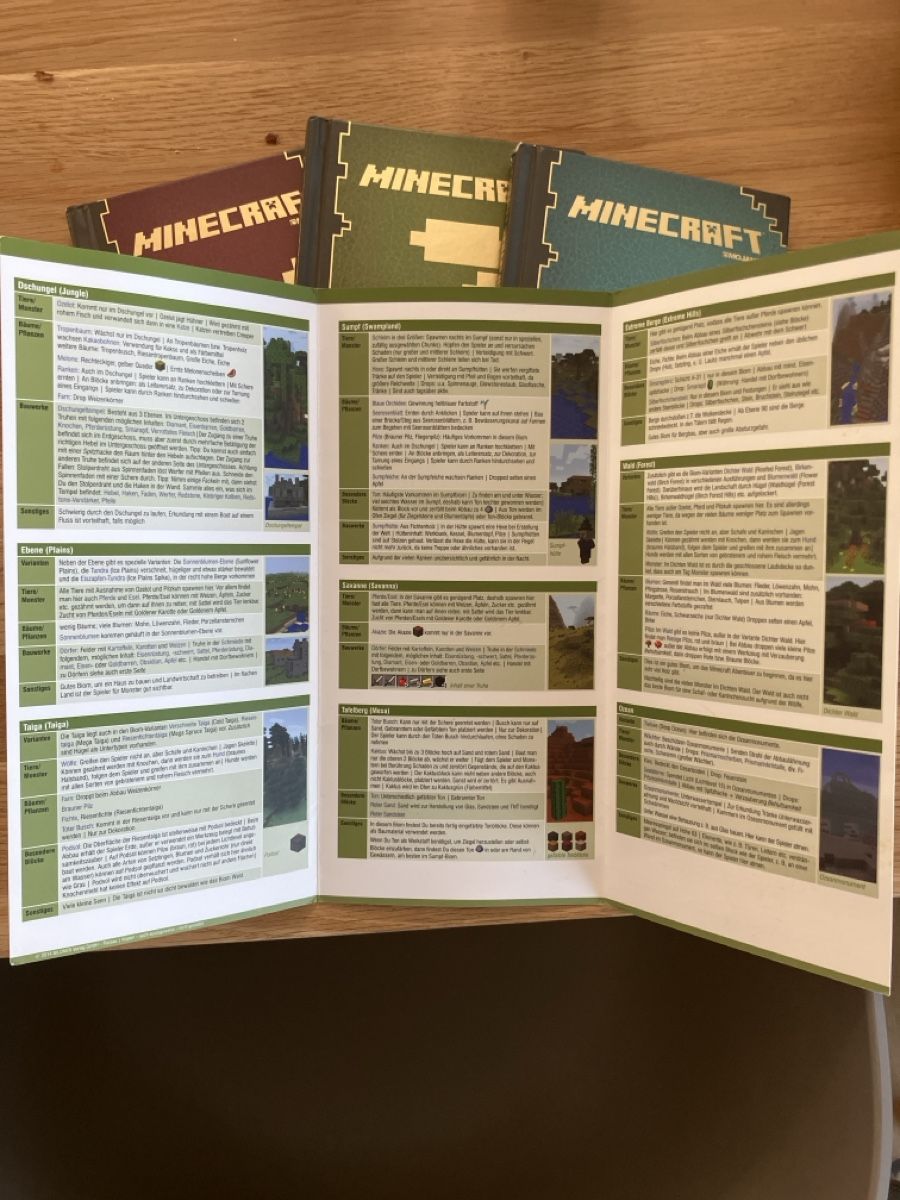 Libri: 3 Minecraft Handbücher plus Karte – Usato da St. Gallen venduto da Rennicky 2