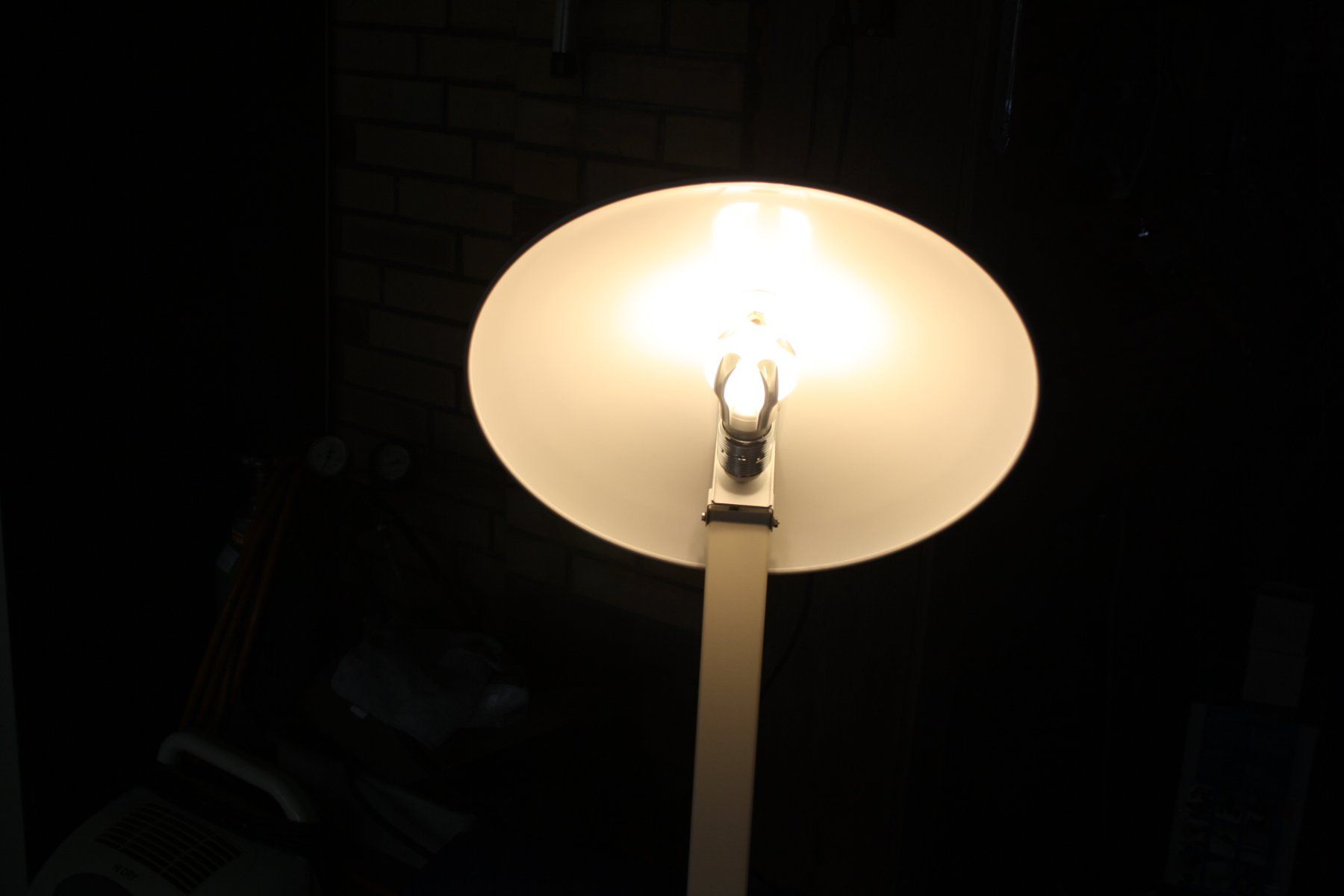 Lampade: BIGGIE LAMPE TISCHLAMPE – Usato da Wauwil venduto da Pneuedy 1
