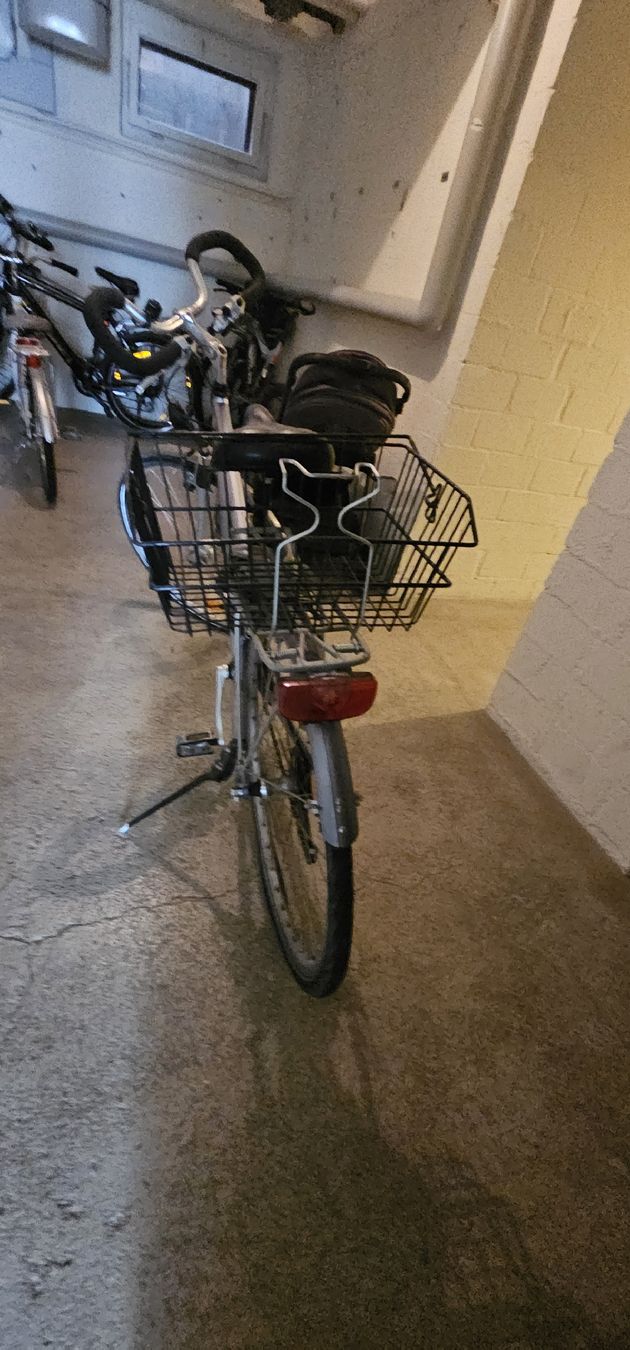 Biciclette: Cresta Damenvelo Stadtvelo mit Korb – Usato da Baden venduto da Khitsch 6