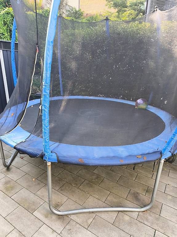 Trampolines: Trampolin 250cm  – D'occasion à Rebstein par Dom-Grab_83 3