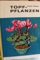 TOPF-PFLANZEN Buch, Schindler/Wilflinger