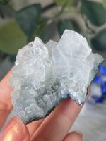 Apophyllit