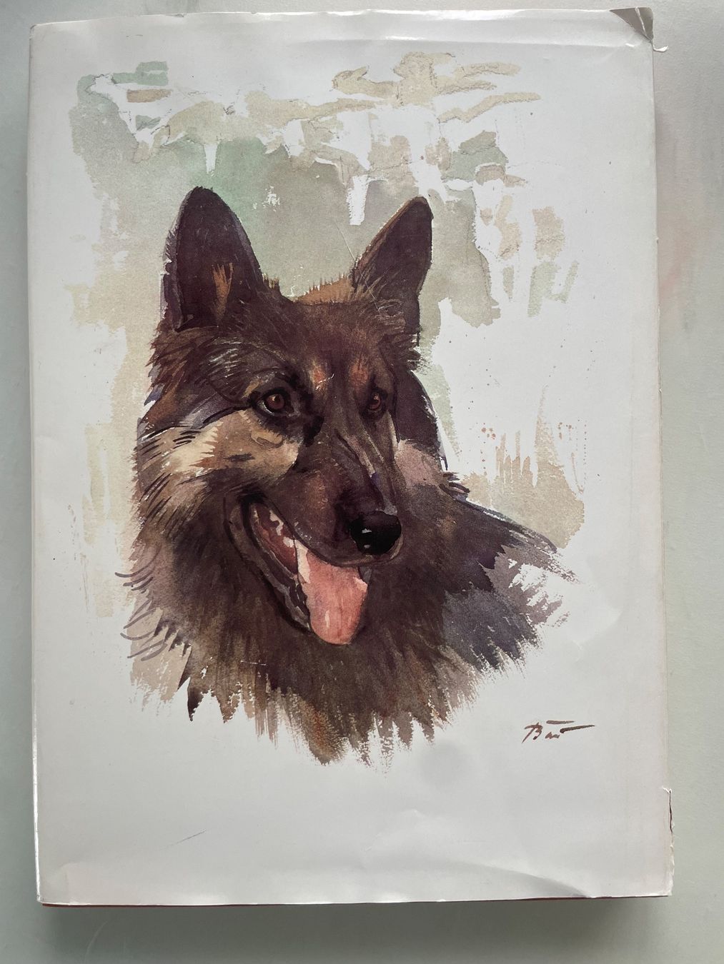 Bücher: Buch - Hunde – Gebraucht aus Ormalingen von ced.fiech 1
