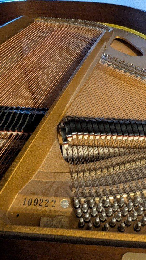 Strumenti musicali: Piano à queue – Usato da TANNAY venduto da Berkoricar 1