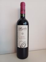 Spanischer Bio-Rotwein Auzolan 2005 Navarra 🍇🇪🇸🍷