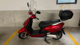 Roller Honda Lead NHX110 Top Zustand ab Servis und MFK