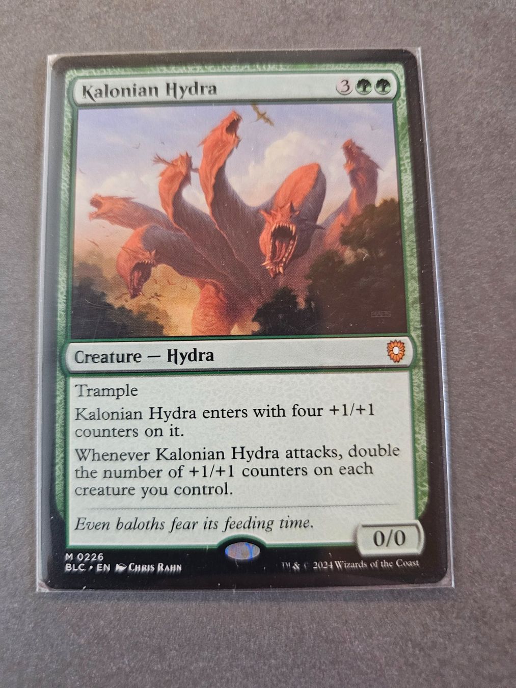 Magic The Gathering Carte collezionabili: Magic the Gathering: Kalonian Hydra – Nuovo (secondo la descrizione) da Läufelfingen venduto da struuub92