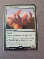 Magic the Gathering: Kalonian Hydra