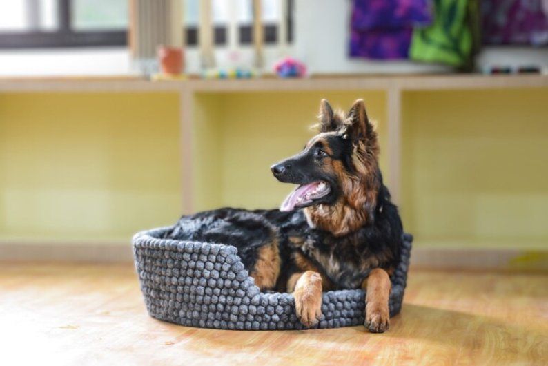 Cucce & Letti: Handgefertigtes Hunde- oder Katzenbett aus Wollfilz, grau – Nuovo e nell'imballaggio originale da Rorschach venduto da charlotte1964 1