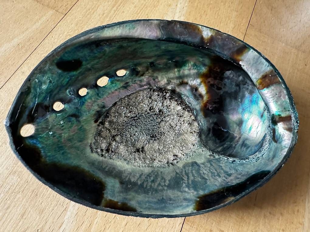 Lampen: Paua Shell aus Neuseeland – Gebraucht aus Baar von Excalibur640 2