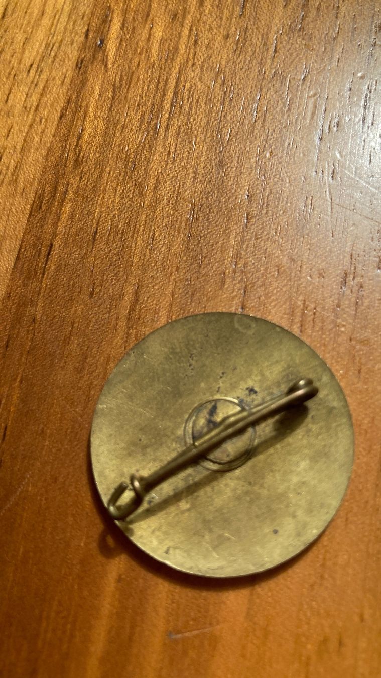 Medaglie: Medaille Berliner Reichstag, Pin – Usato da Reinach BL venduto da santrian 1