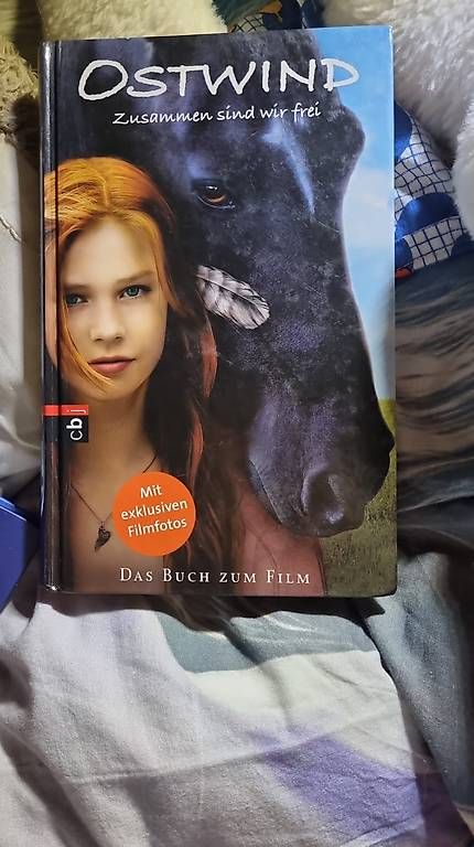Libri: Das Buch für Pferdefans – Usato da Luzern venduto da Elisasina