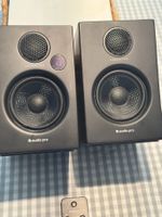 Aktivlautsprecher Audio Pro Addon Five schwarz mit Fernbed