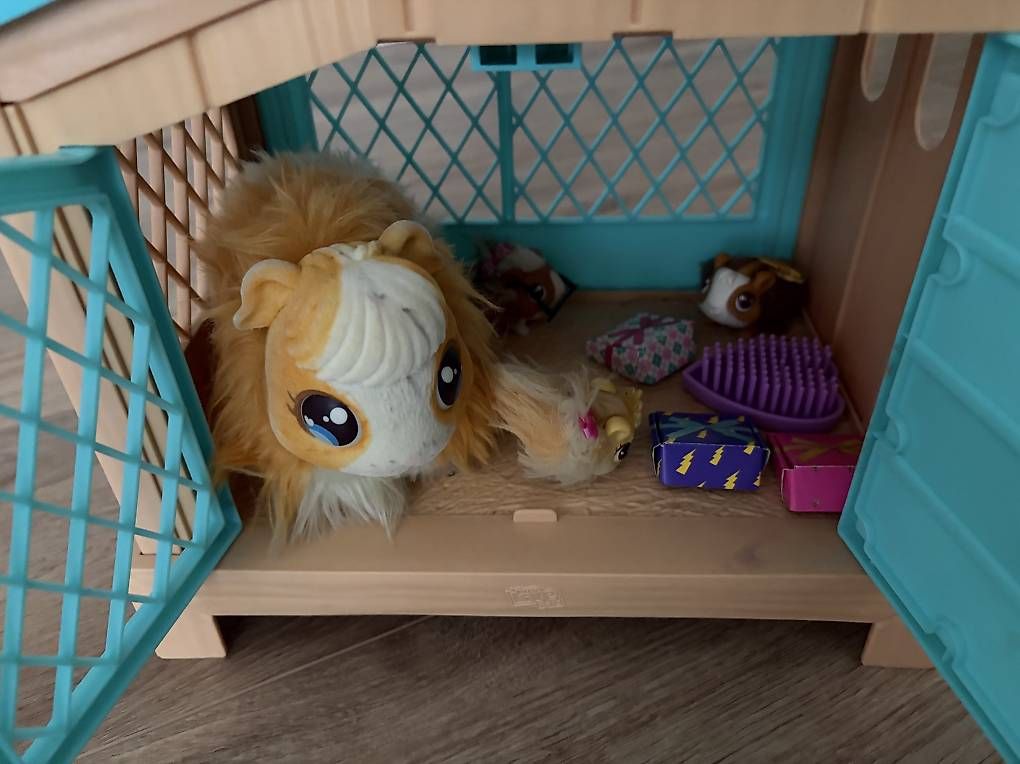Gabbie, trasporto & Sicurezza: Meerschweinchenstall – Usato da Wimmis venduto da Selzer_84 1