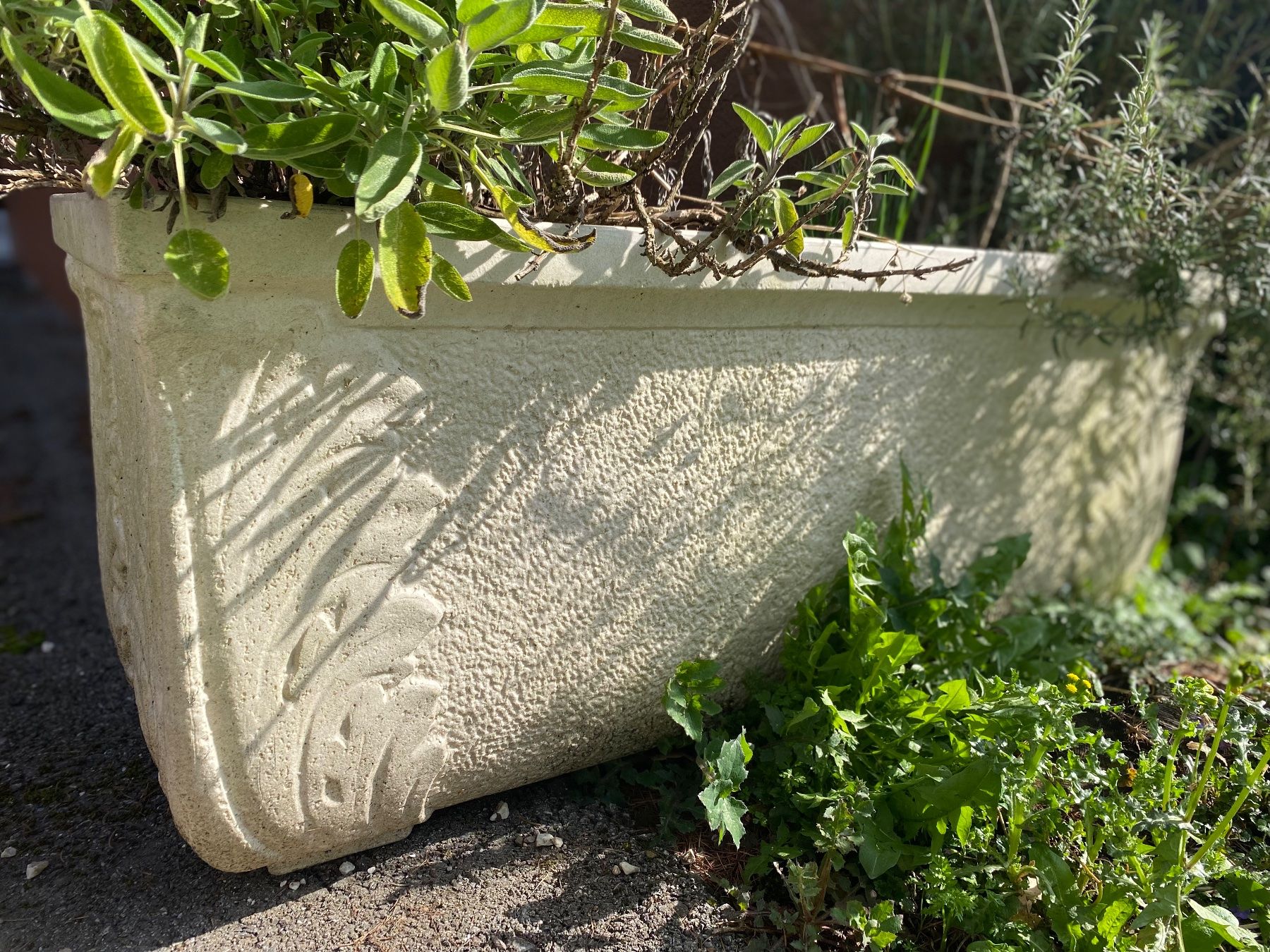 Blumentöpfe: Gartentopf – Gebraucht aus Geroldswil von