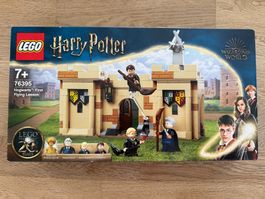 LEGO Harry Potter First Lying Lesson 76395