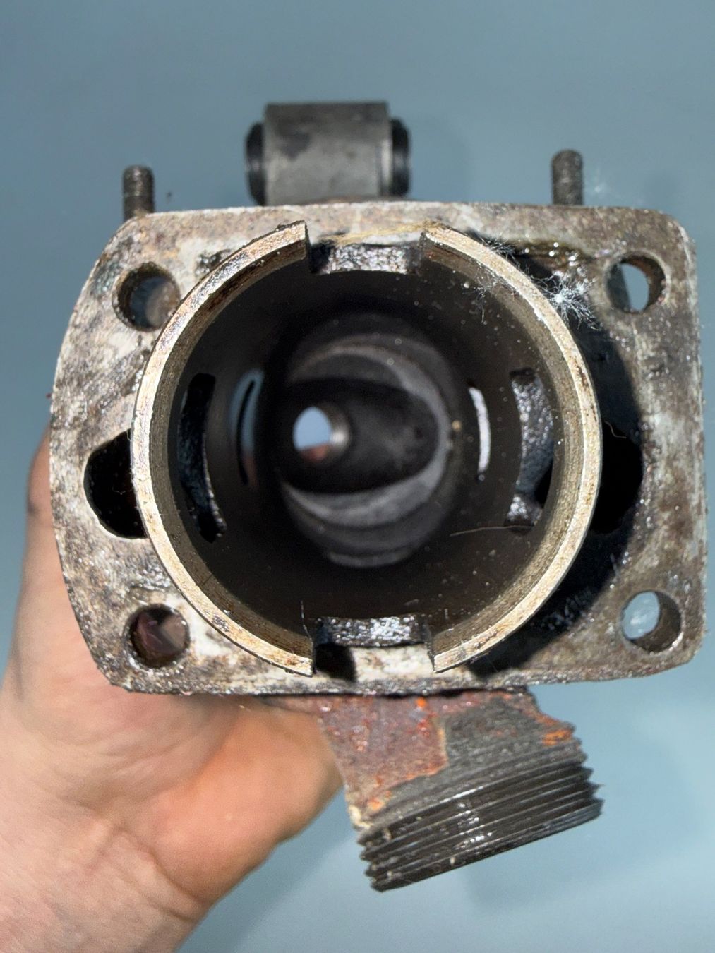 Sachs Ciclomotori: Zylindersatz Sachs 502 Membran Occ – Usato da Hallau venduto da mofaplus 4