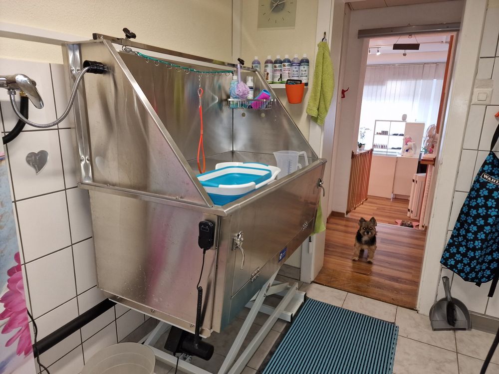 PAWZIDEA Faltbare Hundebadewanne In Grau – Platzsparend, Rutschfest & Wasserdicht – Perfekt Für Kleine & Mittlere Hunde