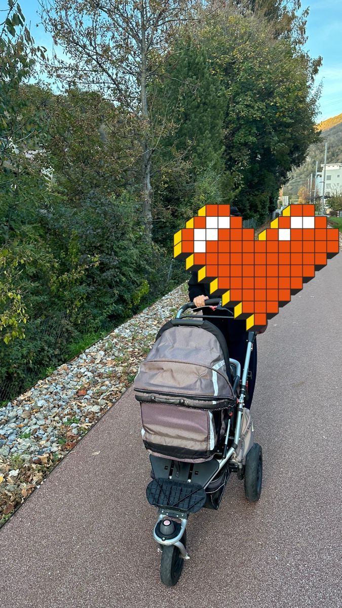 TFK Kinderwagen: Kinderwagen der Marke TFK Joggster – Gebraucht aus Naters von nhu_7xwg 2