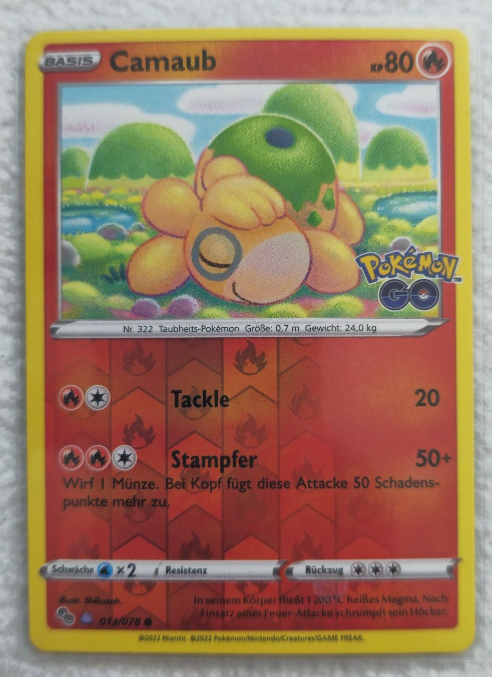 Pokémon Carte collezionabili: Camaub (Ditto) 013/078 DE – Nuovo (secondo la descrizione) da Zürich venduto da Enver90 1