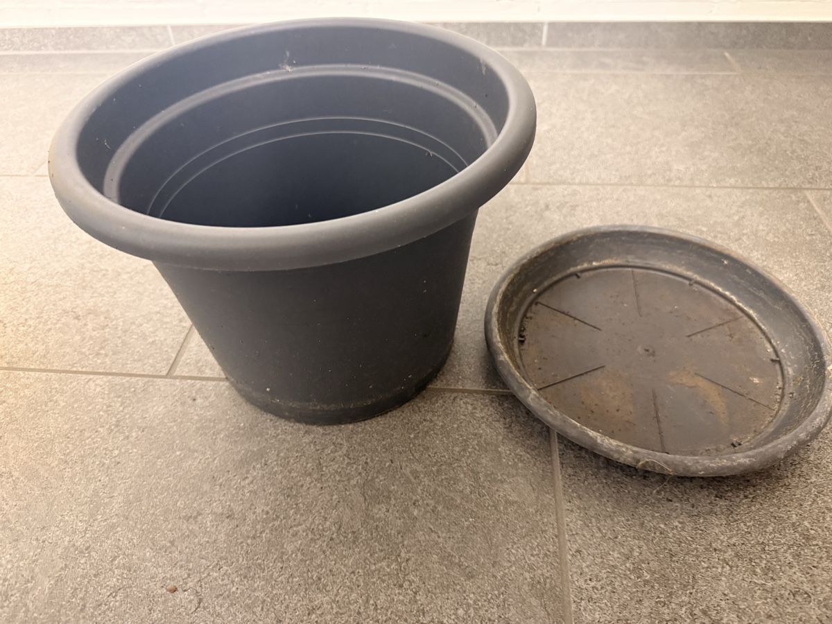 Vasi per fiori: Blumentopf mit Untersetzer, Top Zustand! – Usato da Pfaffhausen venduto da Beli94