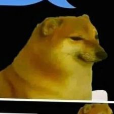 Profile image of Tuddl