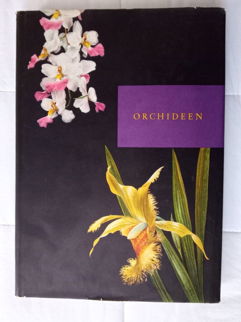 Bücher: Silva Buch Orchideen – Gebraucht aus Zürich von tol_b7c7