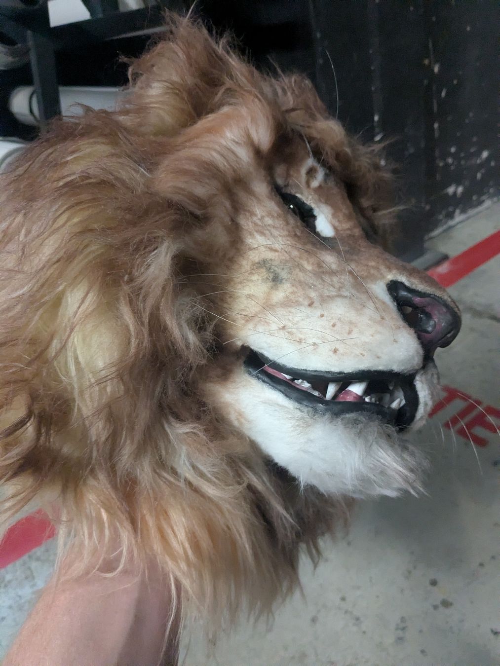 Maschere: Masque de Lion cozplay carnaval spectacle – Nuovo (secondo la descrizione) da Genève venduto da maiakovski 2