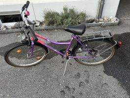 Damen Velo KTM 
