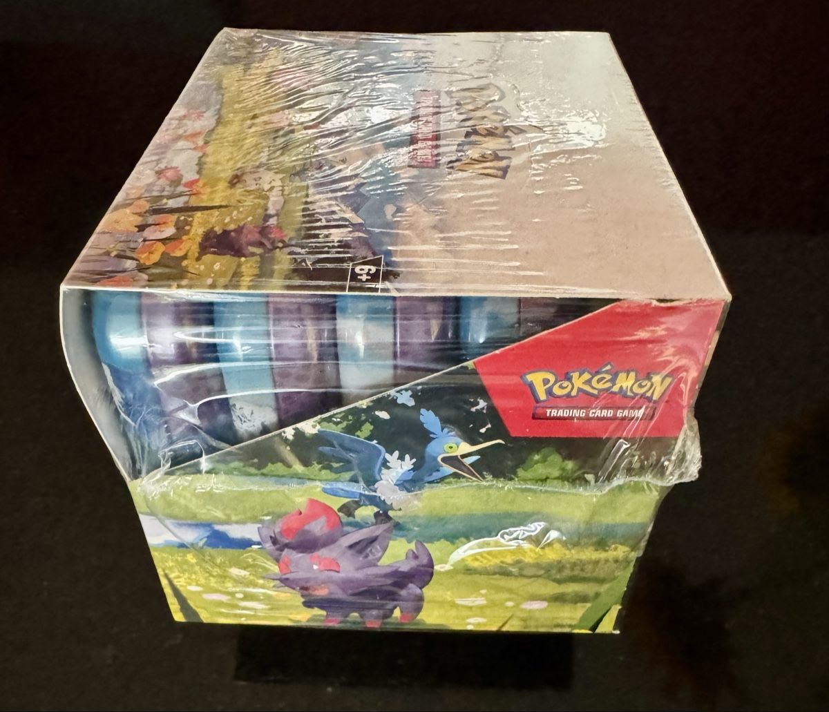 Pokémon Carte collezionabili: Pokemon Ascended Heroes Mini Tins Display – Nuovo e nell'imballaggio originale da Wettingen venduto da beki14 2
