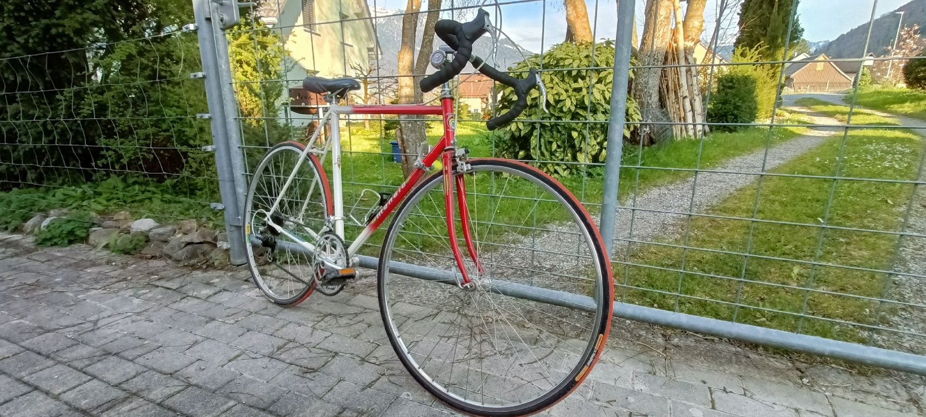 Mondia Velos: Strassenrenner Mondia – Gebraucht aus Bilten von Piiide