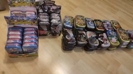 Leere Pokémon Minitins