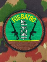 Verbandsabzeichen Füs Bat 80 Kp 2