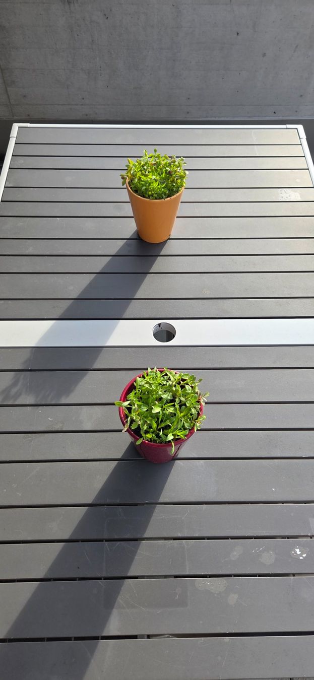 Tavoli: Moderner Gartentisch – Usato da St. Gallen venduto da Rodserg 2