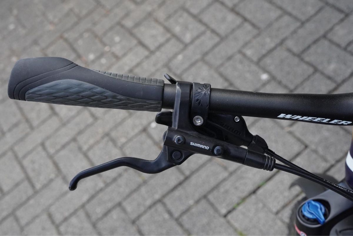 Wheeler Biciclette: Wheeler Protron 1.7 Mountainbike – Usato da Hertenstein AG venduto da Stadtturm 8