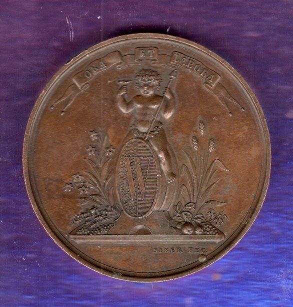 Medaglie: Schweizer medaillen Vevey 1865 – Usato da Leibstadt venduto da baroc333