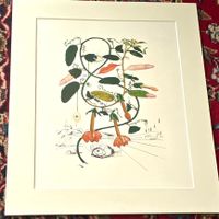 Salvador Dahli *Cobea (Flordali)*. Limitierte Lithographie