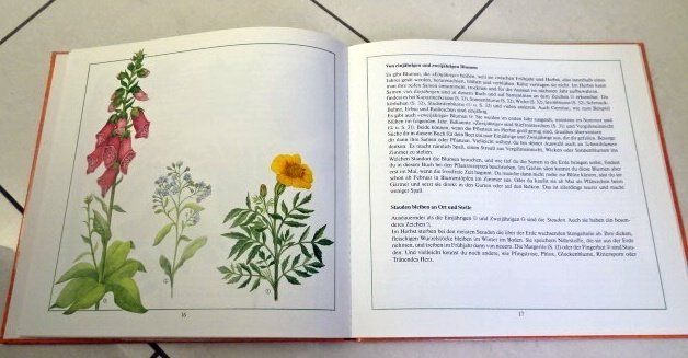 Bücher: Die Garten-Uhr Dietlind – Gebraucht aus Wetzikon ZH von strubeli024 3