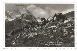 Paysage è Arolla (VS) Les mulets de la Poste - Arolla - 1937