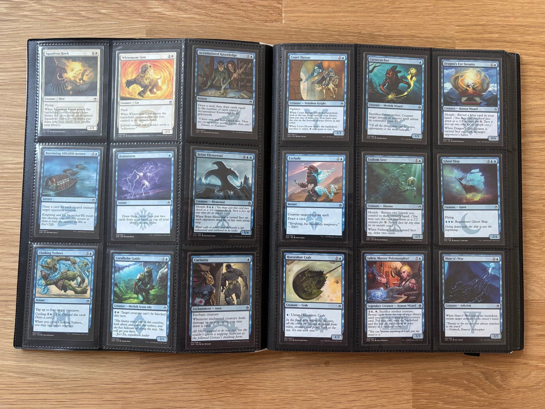 Magic The Gathering Carte collezionabili: Magic the Gathering Masters 25 Collection – Usato da Winterthur venduto da topaz02 6