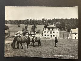 Les Emibois Restaurant  