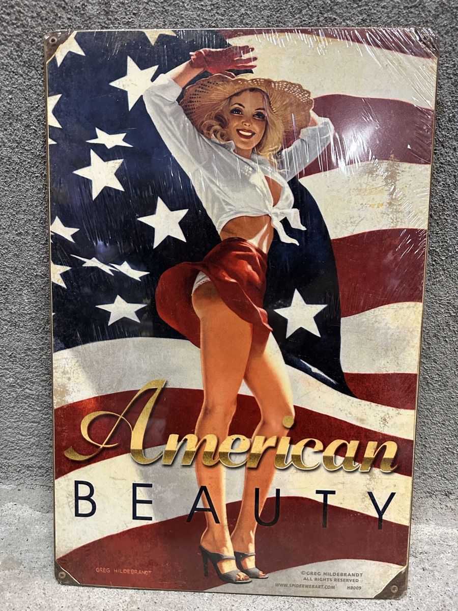 Schilder: Pin up usa – Gebraucht aus Reinach AG von rares75