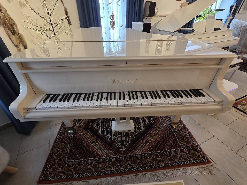 Bösendorfer Strumenti musicali: Bösendorfer 170cm – Usato da Waltensburg/Vuorz venduto da Buddhas 4