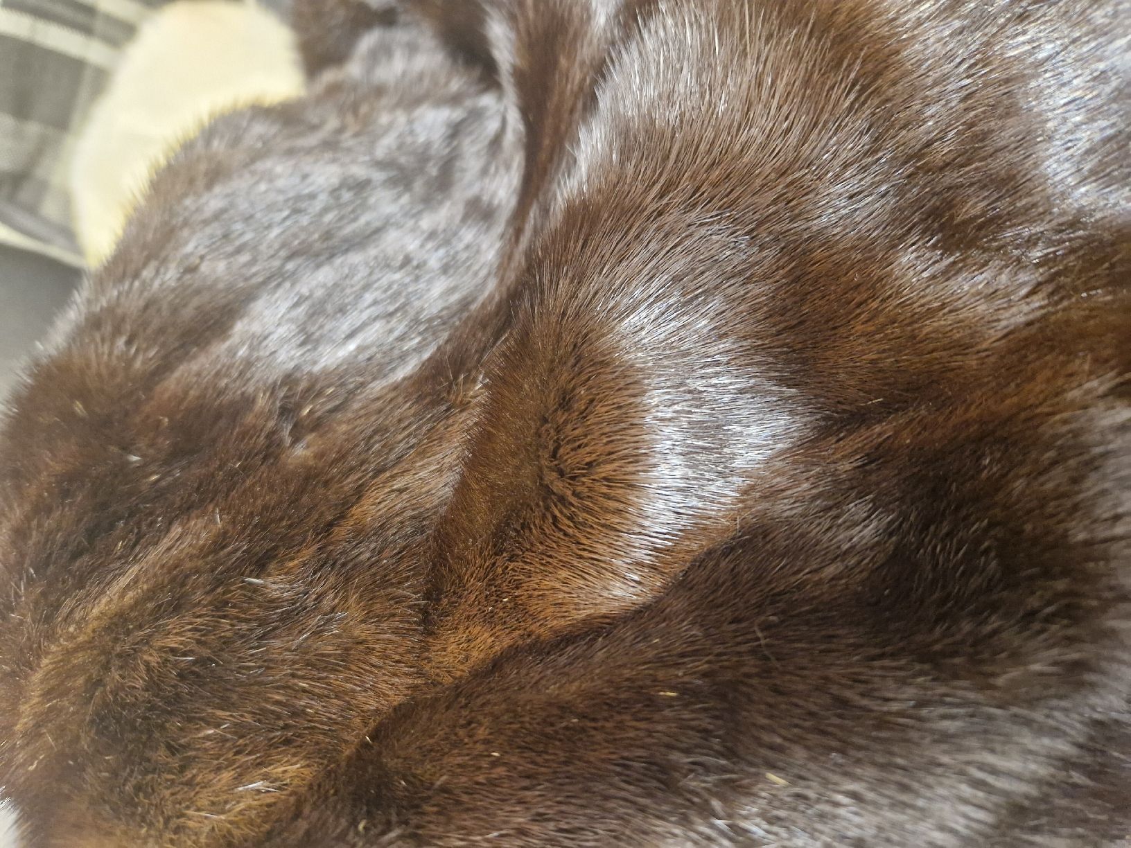 Mäntel: Elegant Mink Fur Coat – Neu (gemäss Beschreibung) aus Wettingen von mor_76q7 3